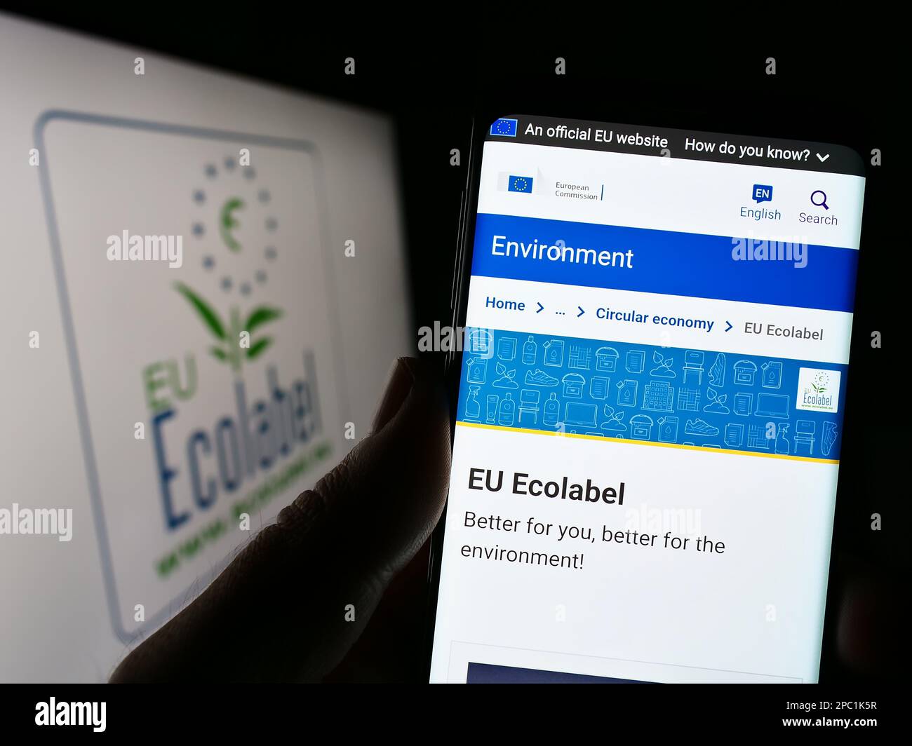 Person holding cellphone with website of environmental certification EU Ecolabel on screen in front of logo. Focus on center of phone display. Stock Photo