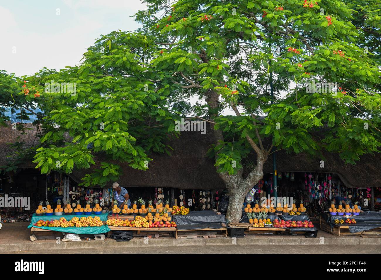 Saint Lucia, South Africa - 14 January 2023: the market of Saint Lucia