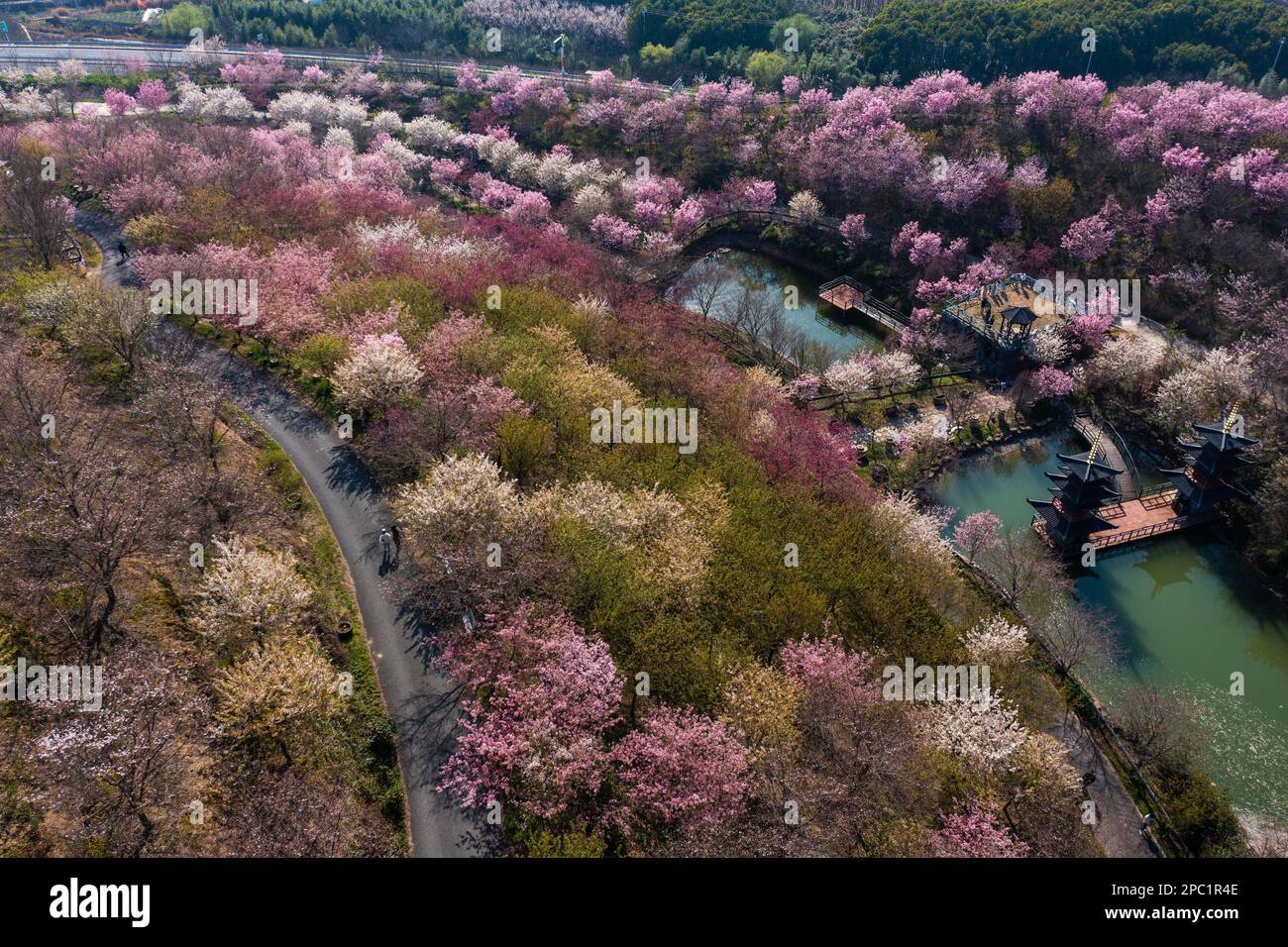 Hangzhou. 13th Mar, 2023. This aerial photo taken on March 13, 2023 ...