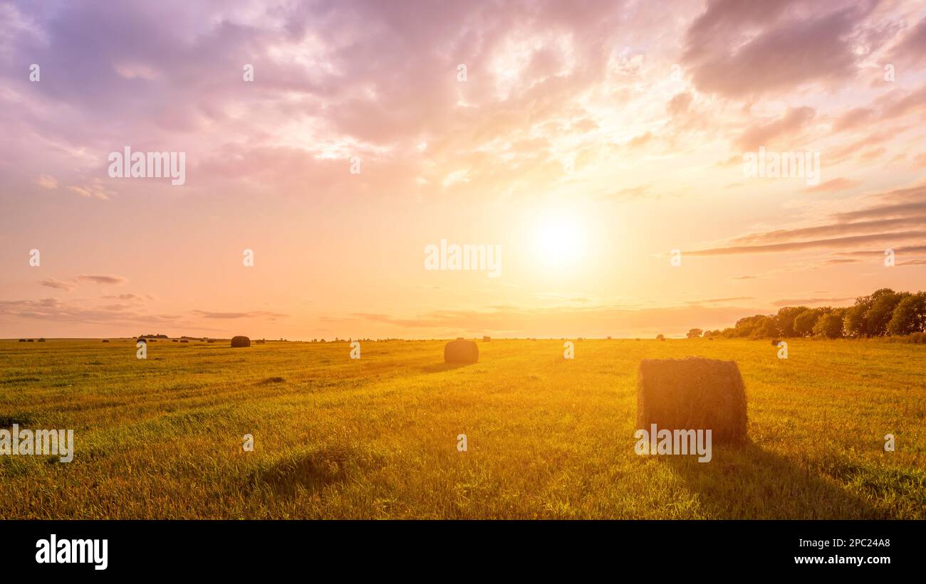 A field with haystacks on a summer or early autumn evening with a ...