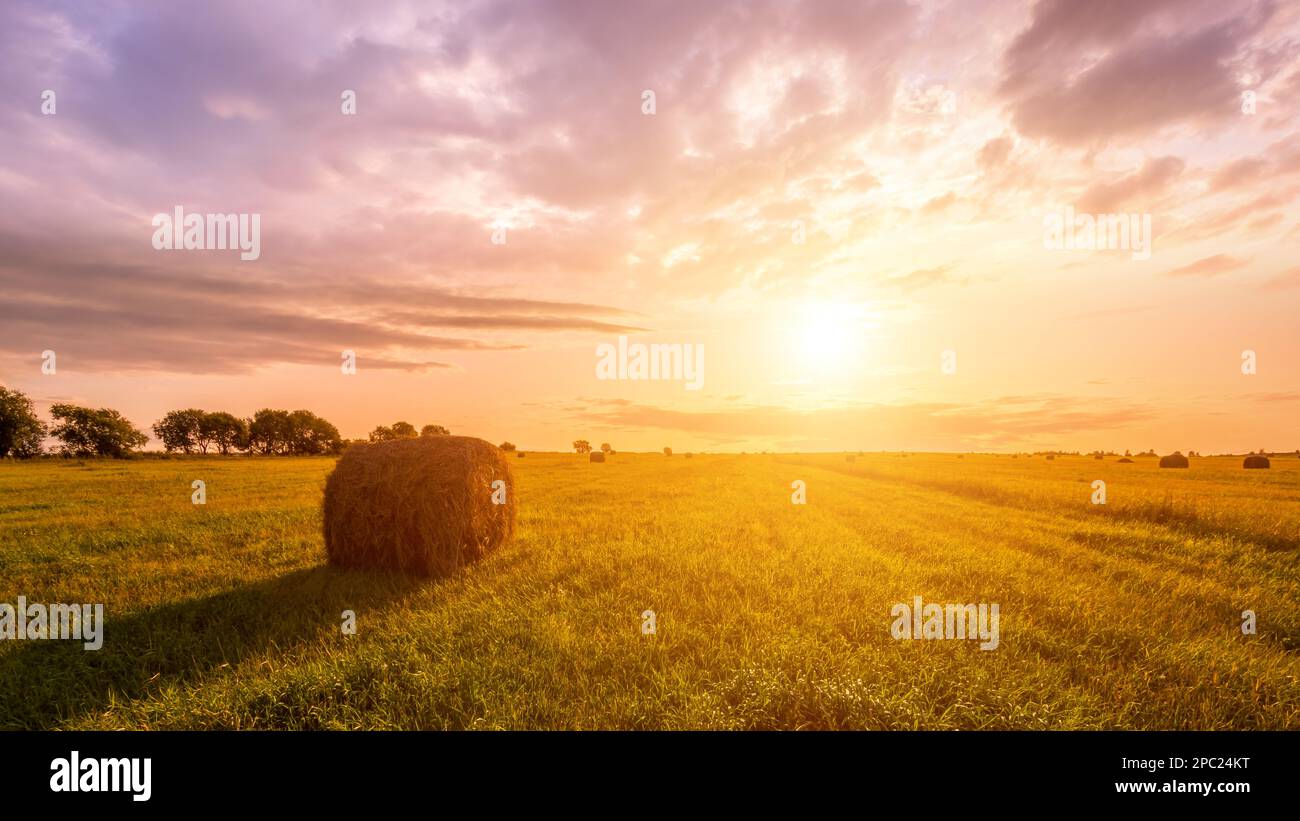 A field with haystacks on a summer or early autumn evening with a ...