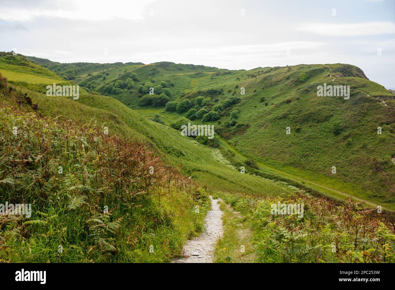 Damage Cliffs near Lee Bay, North Devon, UK Stock Photo Alamy