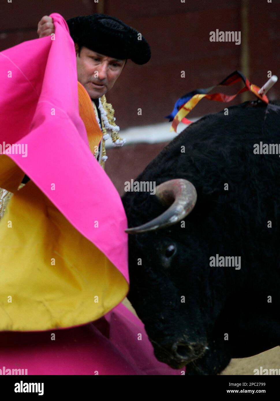 A bull challenges Colombia's bullfighter Cesar Rincon in Bogota, Sunday ...