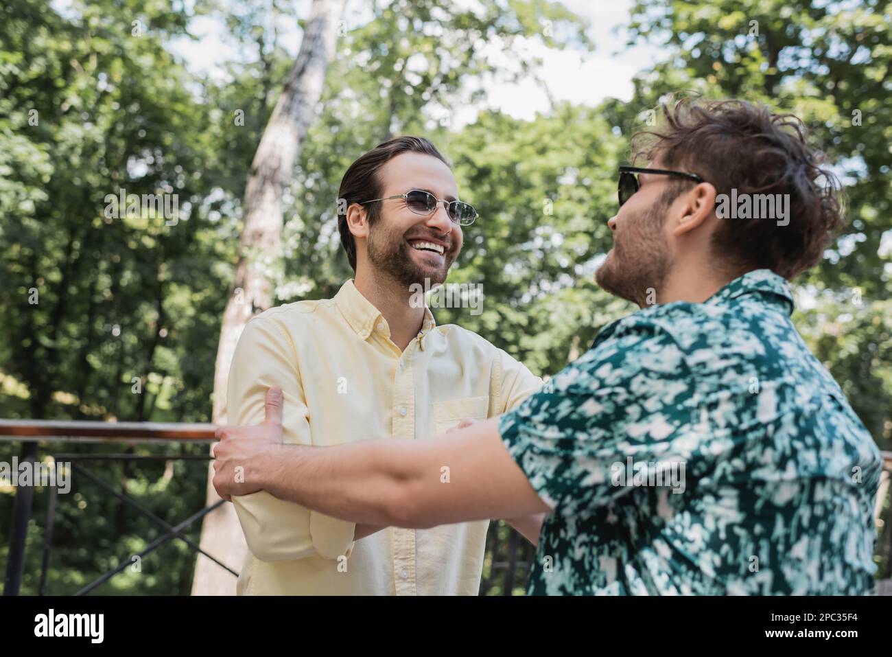 Cheerful friends in sunglasses meeting in park in summer,stock image Stock Photo