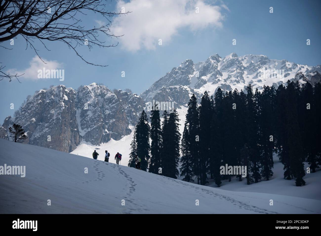 Trekkers are seen enroute their way through a snow covered mountain during a sunny day at Lidwas at an elevation of 3220 m in mountains of Himalayas. The Zabarwan Range is a short sub-mountain range between Pir Panjal and Great Himalayan Range in the central part of the Kashmir Valley. The highest peak of Zabarwan Mountain Range is Mahadev Peak at 13,013 feet (3,966 m). The Zabarwan Range has crystalline rocks such as granite, schists and phyllites with embedded lime stone, which form the core of its parent range. Moreover Zabarwan Mountain Range possesses great Himalayan Mountain Range with r Stock Photo