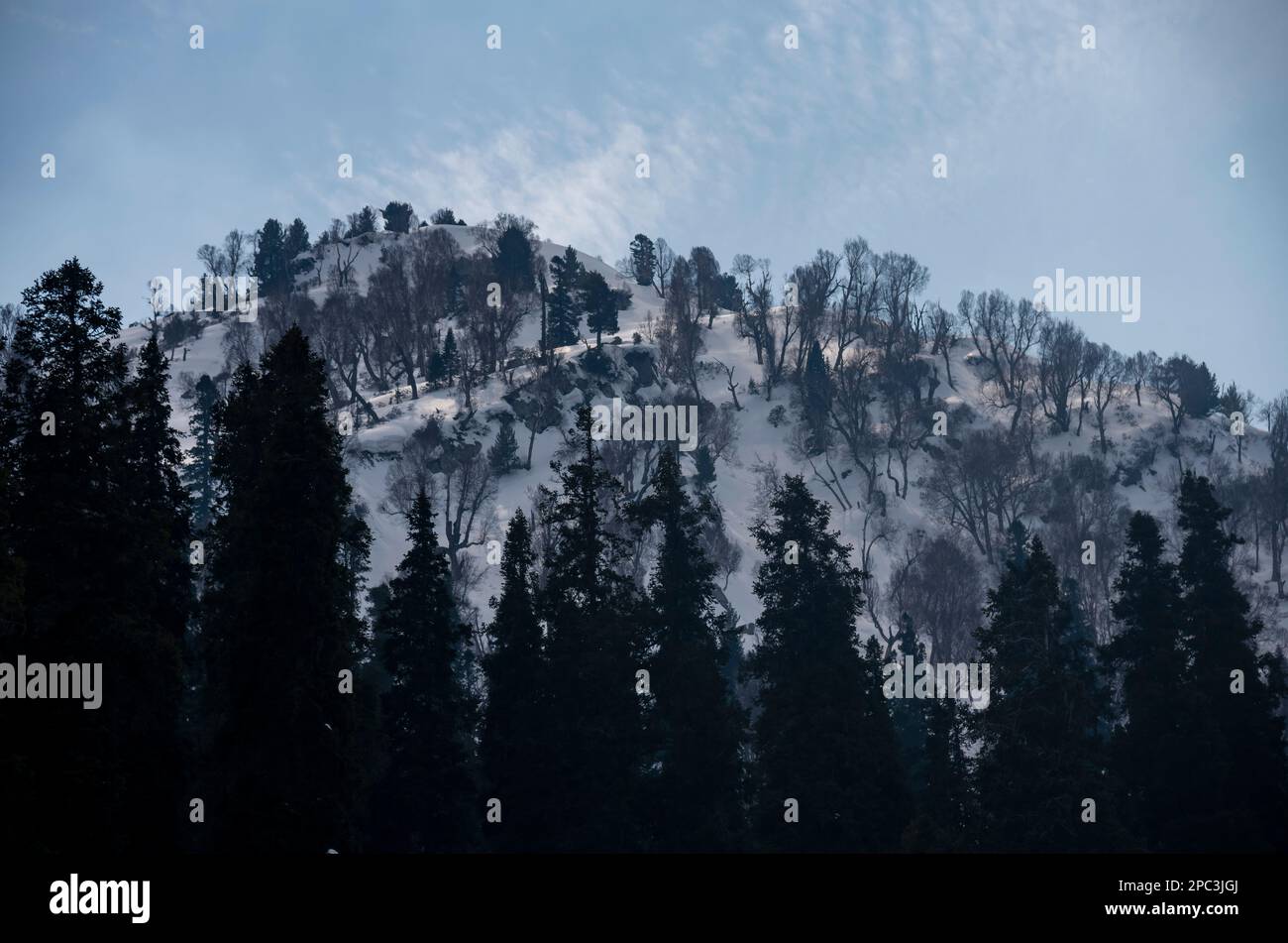 A mountain is seen partially covered with snow during a sunny day at Lidwas at an elevation of 3220 m in mountains of Himalayas. The Zabarwan Range is a short sub-mountain range between Pir Panjal and Great Himalayan Range in the central part of the Kashmir Valley. The highest peak of Zabarwan Mountain Range is Mahadev Peak at 13,013 feet (3,966 m). The Zabarwan Range has crystalline rocks such as granite, schists and phyllites with embedded lime stone, which form the core of its parent range. Moreover Zabarwan Mountain Range possesses great Himalayan Mountain Range with rich wildlife. (Photo Stock Photo