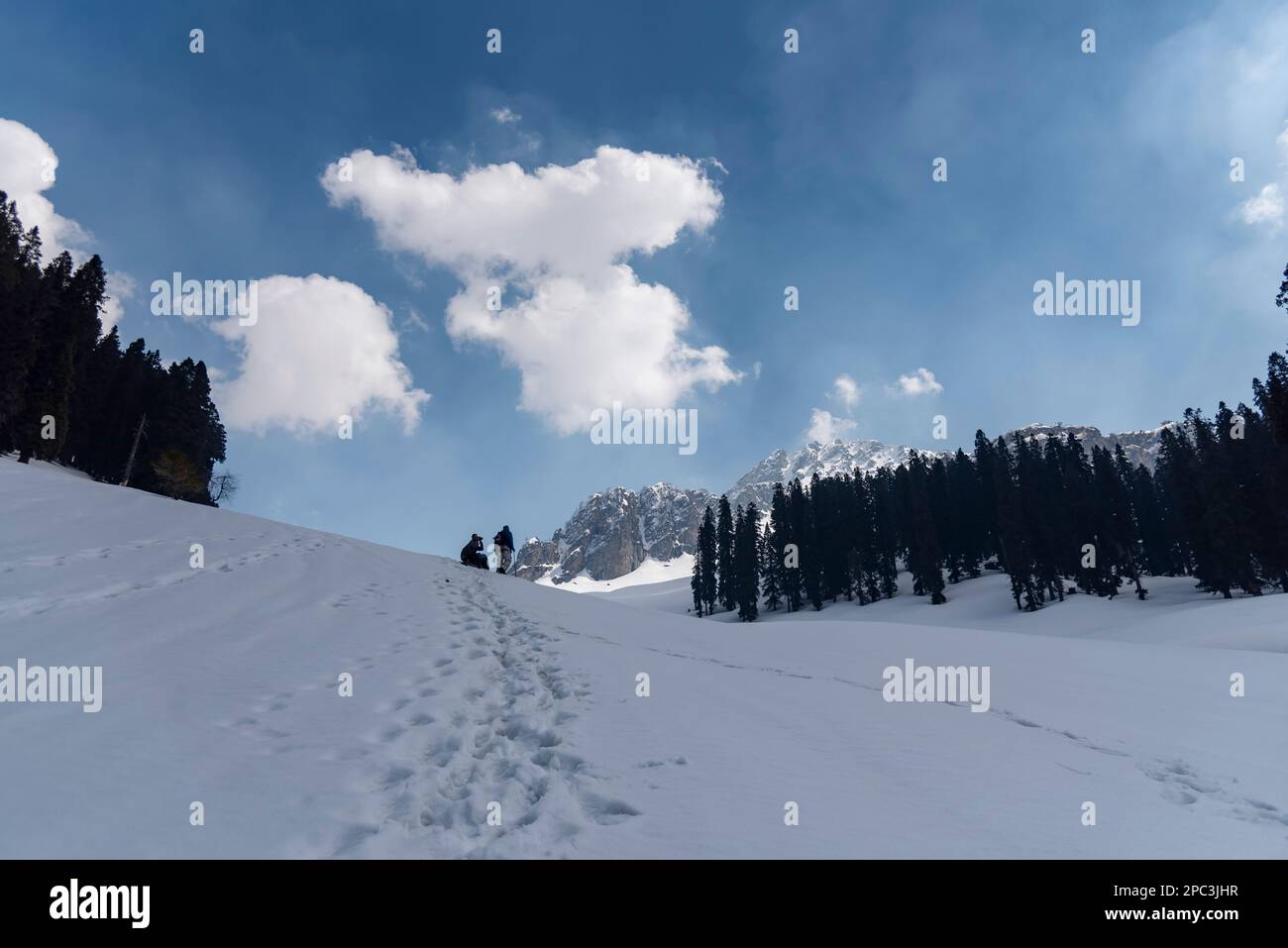 A trekker enroute his way through a snow covered mountain during a sunny day at Lidwas at an elevation of 3220 m in mountains of Himalayas. The Zabarwan Range is a short sub-mountain range between Pir Panjal and Great Himalayan Range in the central part of the Kashmir Valley. The highest peak of Zabarwan Mountain Range is Mahadev Peak at 13,013 feet (3,966 m). The Zabarwan Range has crystalline rocks such as granite, schists and phyllites with embedded lime stone, which form the core of its parent range. Moreover Zabarwan Mountain Range possesses great Himalayan Mountain Range with rich wildli Stock Photo