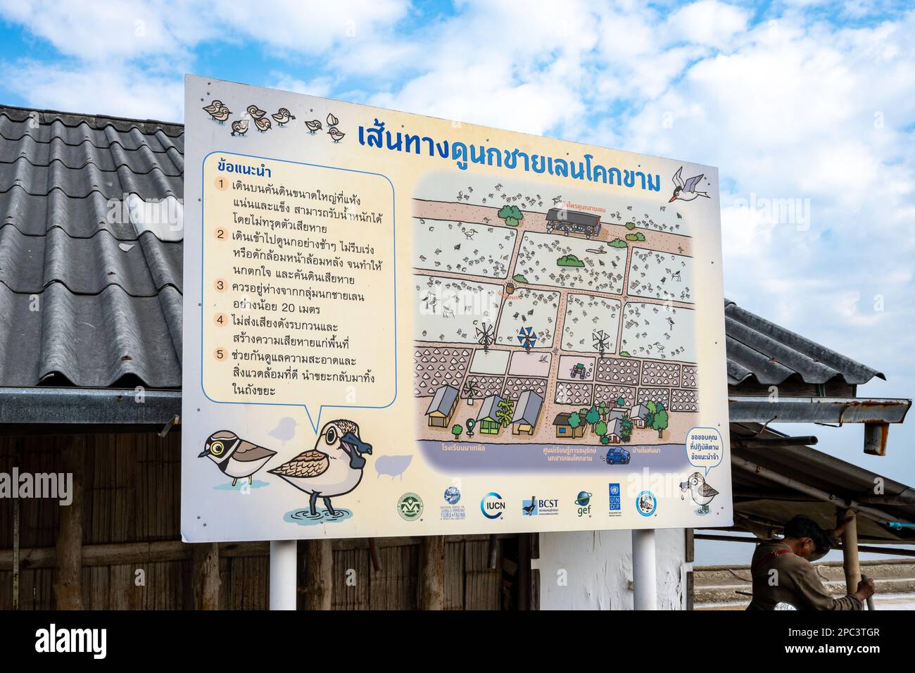 Information board in Thai for critically endanged Spoon-billed Sandpiper (Calidris pygmaea). Thailand. Stock Photo