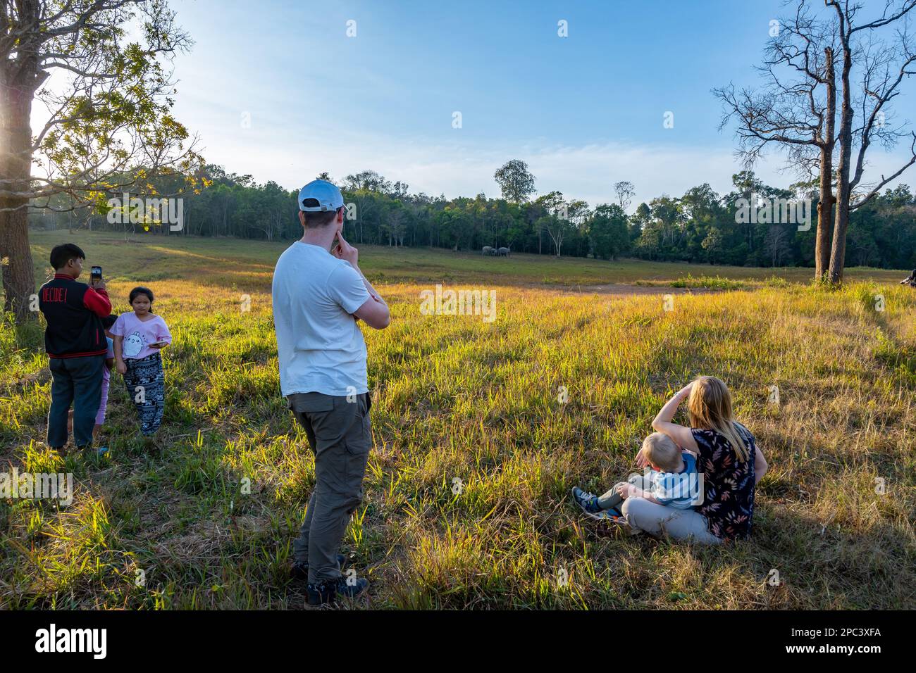 Families of tourists observe a group of Asian elephants feeding in distance. Khao Yai National Park, Thailand. Stock Photo