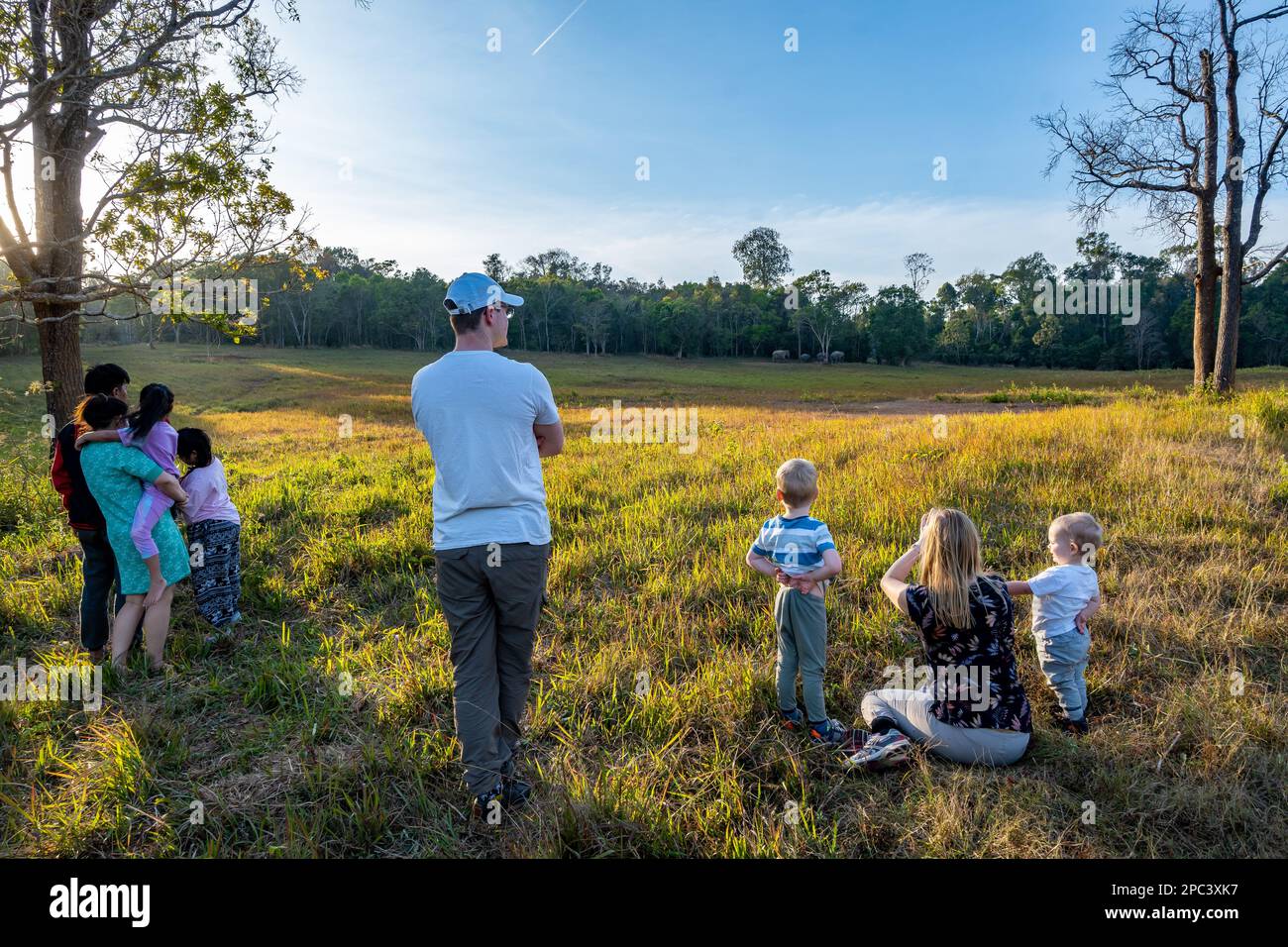 Families of tourists observe a group of Asian elephants feeding in distance. Khao Yai National Park, Thailand. Stock Photo