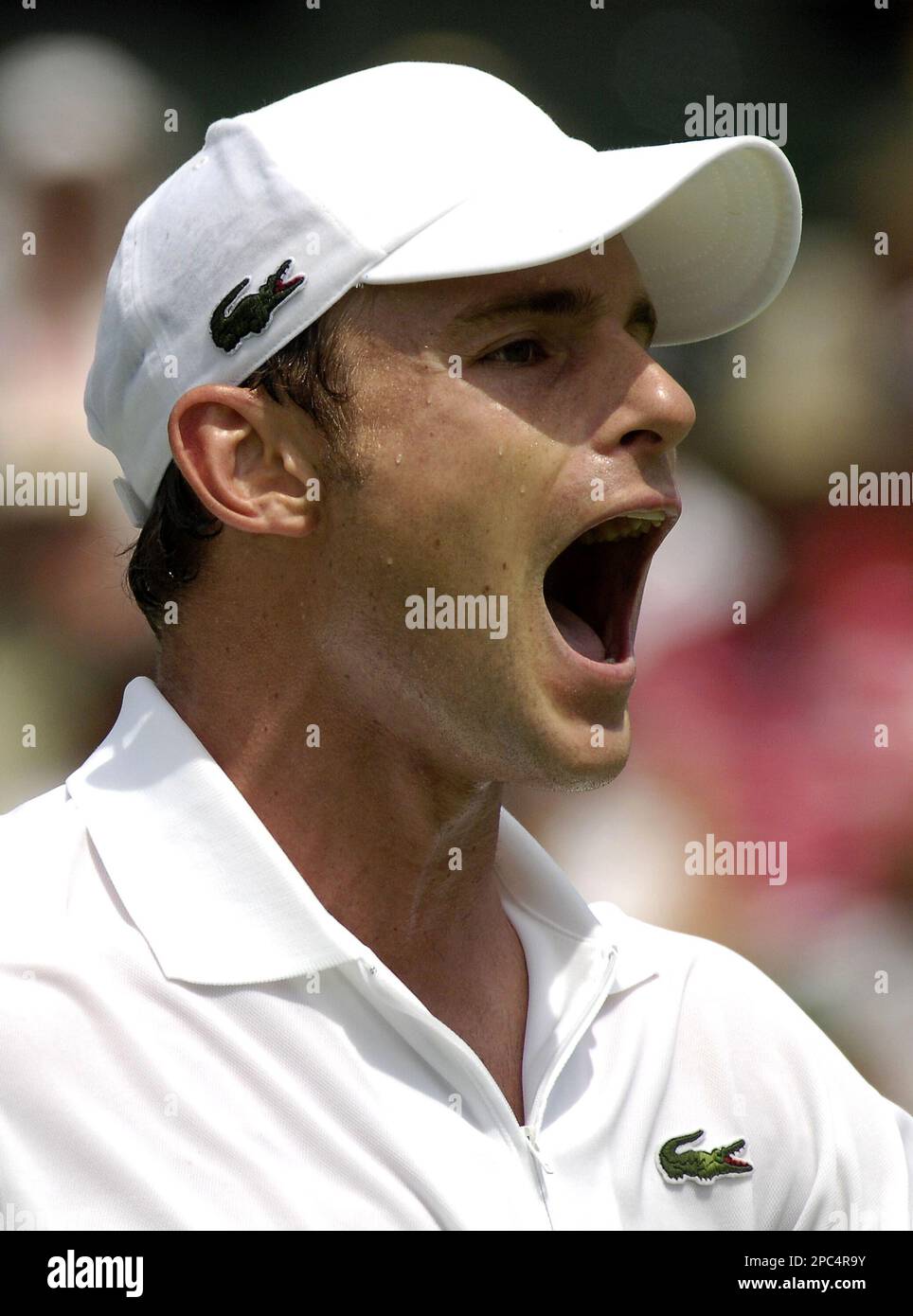 American tennis player Andy Roddick yells during his match against Tommy Haas of Germany at the