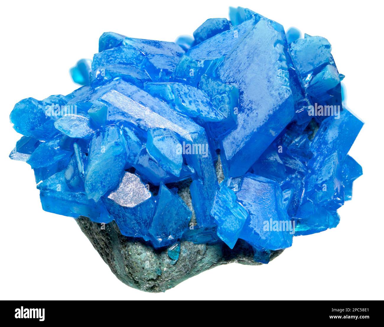 Chalcanthite crystals (hydrated copper sulphate) c3cm across Stock