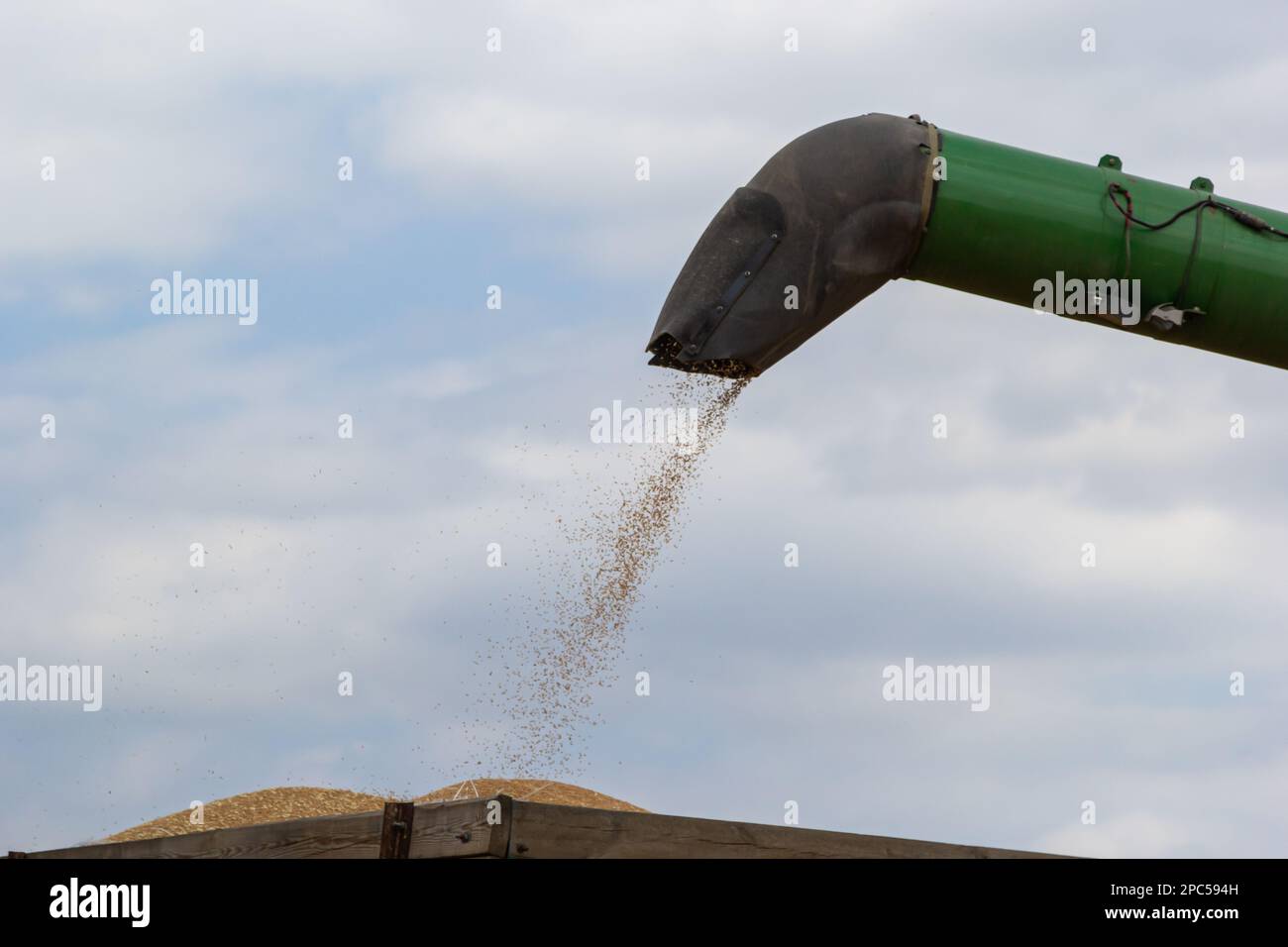 Harvester unloading wheat on the background of the sky with clouds. close up. Stock Photo