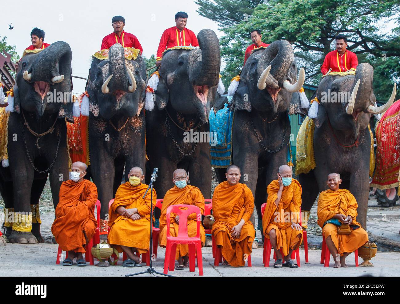 Ayutthaya, Thailand. 13th Mar, 2023. Buddhist monks sit in front of elephants during Thailand's national elephant day celebration in the ancient city of Ayutthaya province, north of Bangkok. Thais honored the elephant on Monday with special fruits and Buddhist ceremonies across the country to pay homage to their national animal. Credit: SOPA Images Limited/Alamy Live News Stock Photo