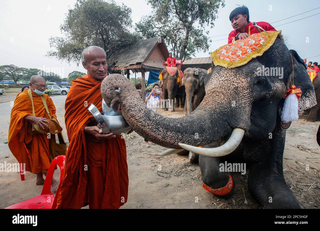 A Buddhist monk receives food from an elephant during Thailand's national elephant day celebration in the ancient city of Ayutthaya  province, north of Bangkok. Thais honored the elephant on Monday with special fruits and Buddhist ceremonies across the country to pay homage to their national animal. (Photo by Chaiwat Subprasom / SOPA Images/Sipa USA) Stock Photo