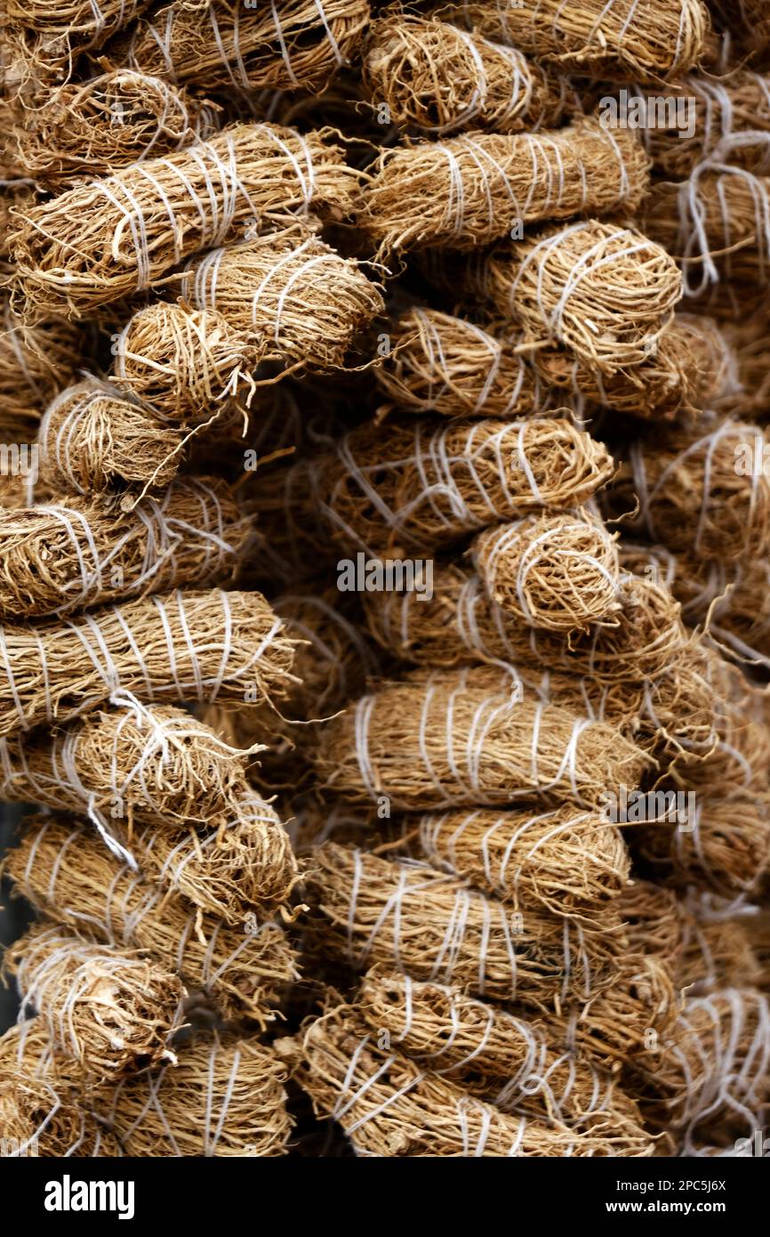 Dried vetiver roots, Khus Roots, Cooling properties: Roots of vetiver are considered to be extremely cooling for the body. It reduces the body heat. Stock Photo