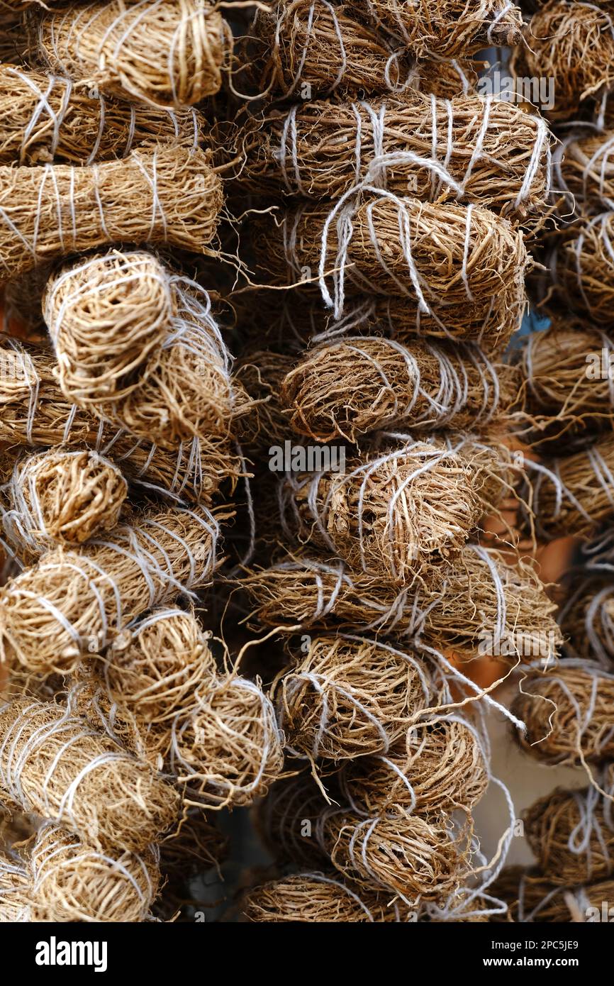 Dried vetiver roots, Khus Roots, Cooling properties: Roots of vetiver are considered to be extremely cooling for the body. It reduces the body heat. Stock Photo
