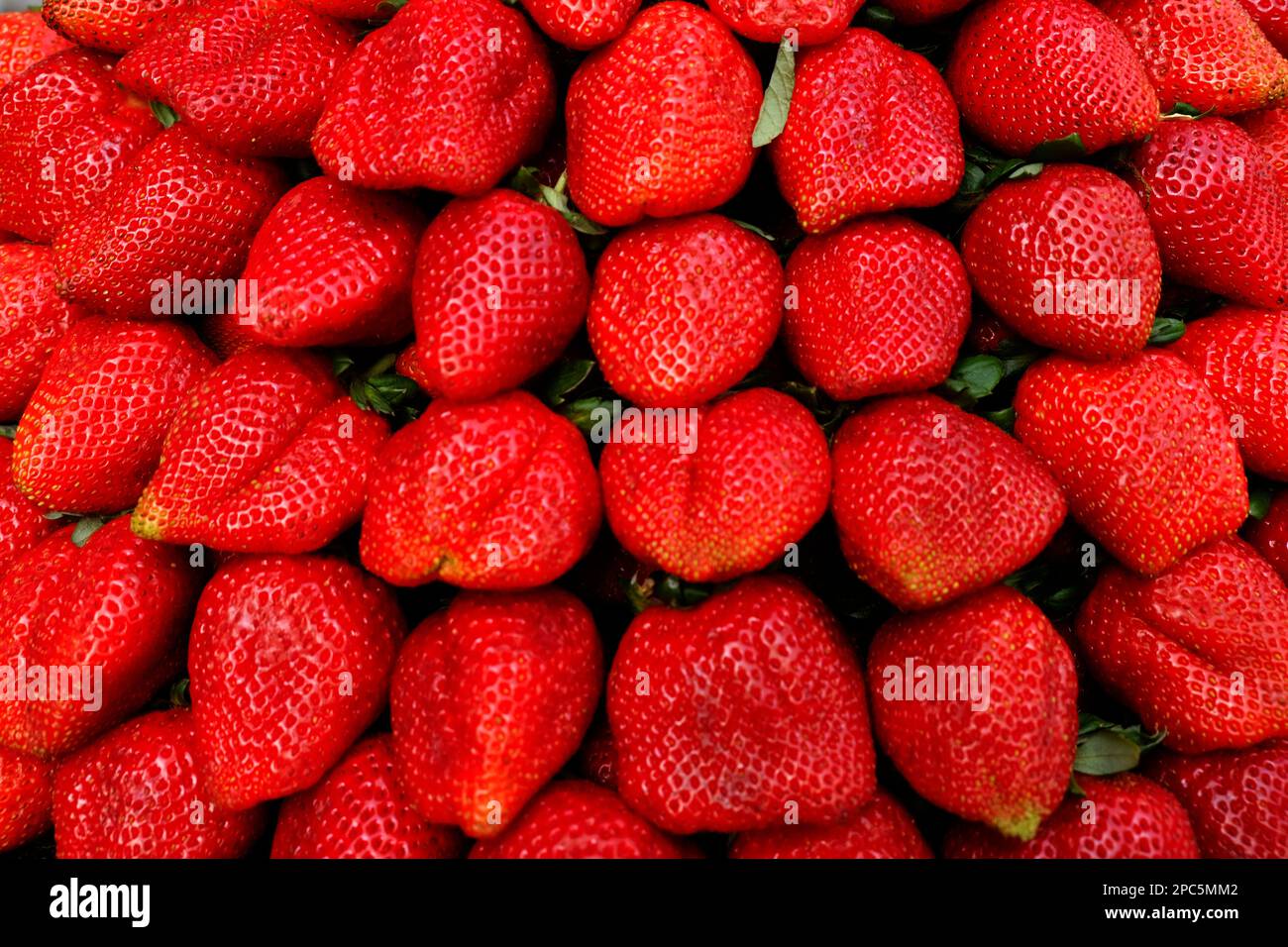 Strawberries background agriculture hi-res stock photography and images ...
