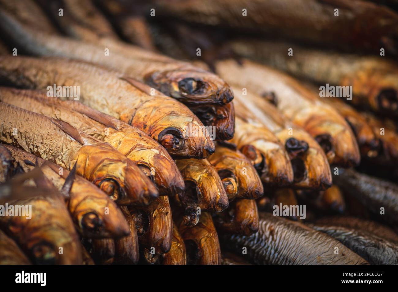 Dried smoked Atlantic or Baltic herrings, Clupea harengus, a herring in