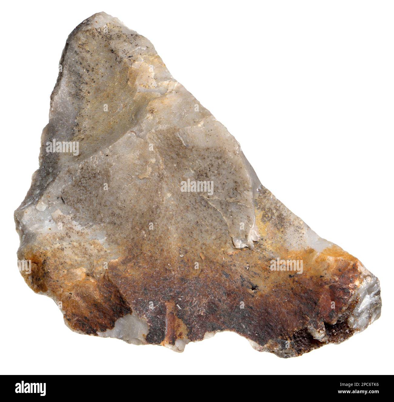 Flint sedimentary cryptocrystalline form of quartz (c5cm across Stock