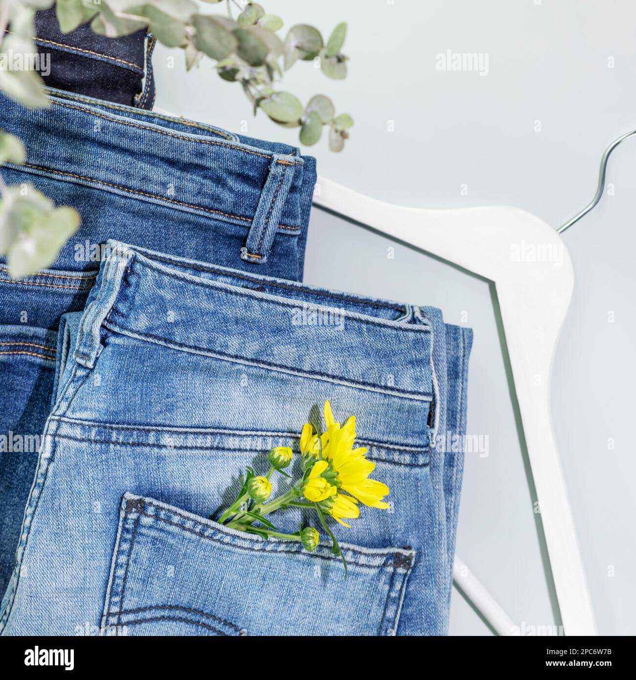 Romantic spring shopping banner with different kind of jeans with flower and white hanger on blue background. Denim clothing store. Spring sale. Casua Stock Photo