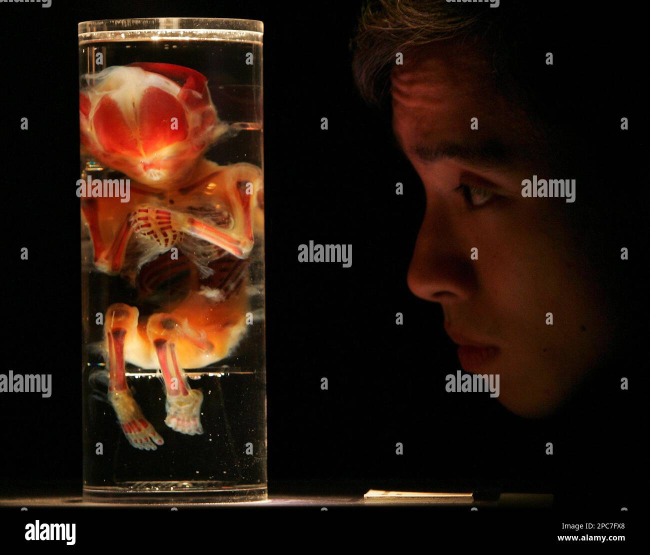My Image 23