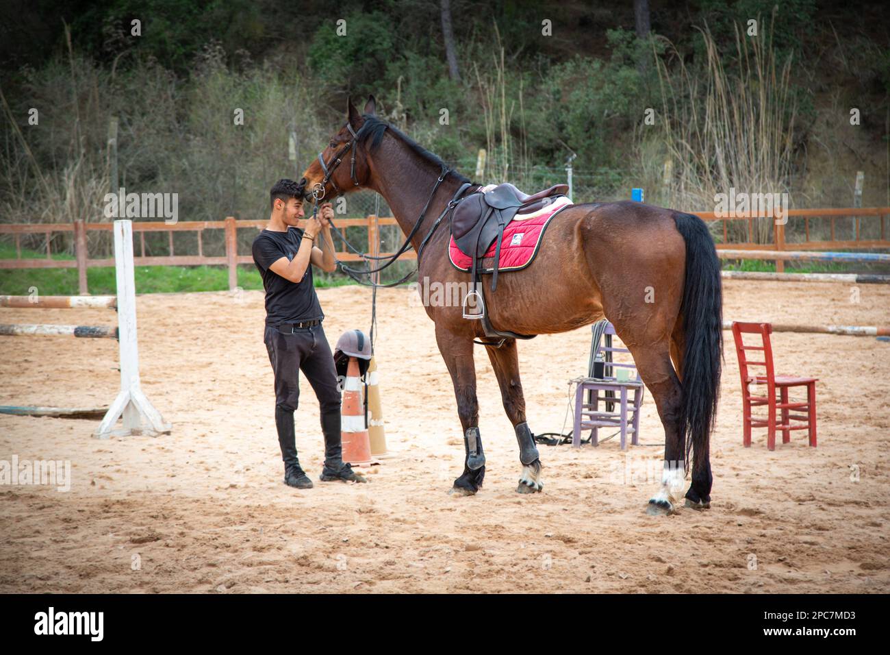 Horse trainer's love for horses. The horse trainer held the horse's