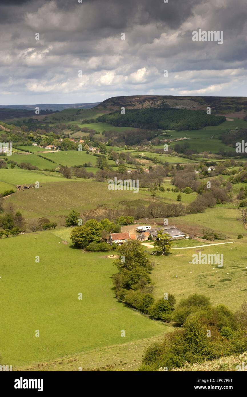 View of rolling countryside, near Hawnby, North York Moors N. P. North Yorkshire, England, United Kingdom Stock Photo