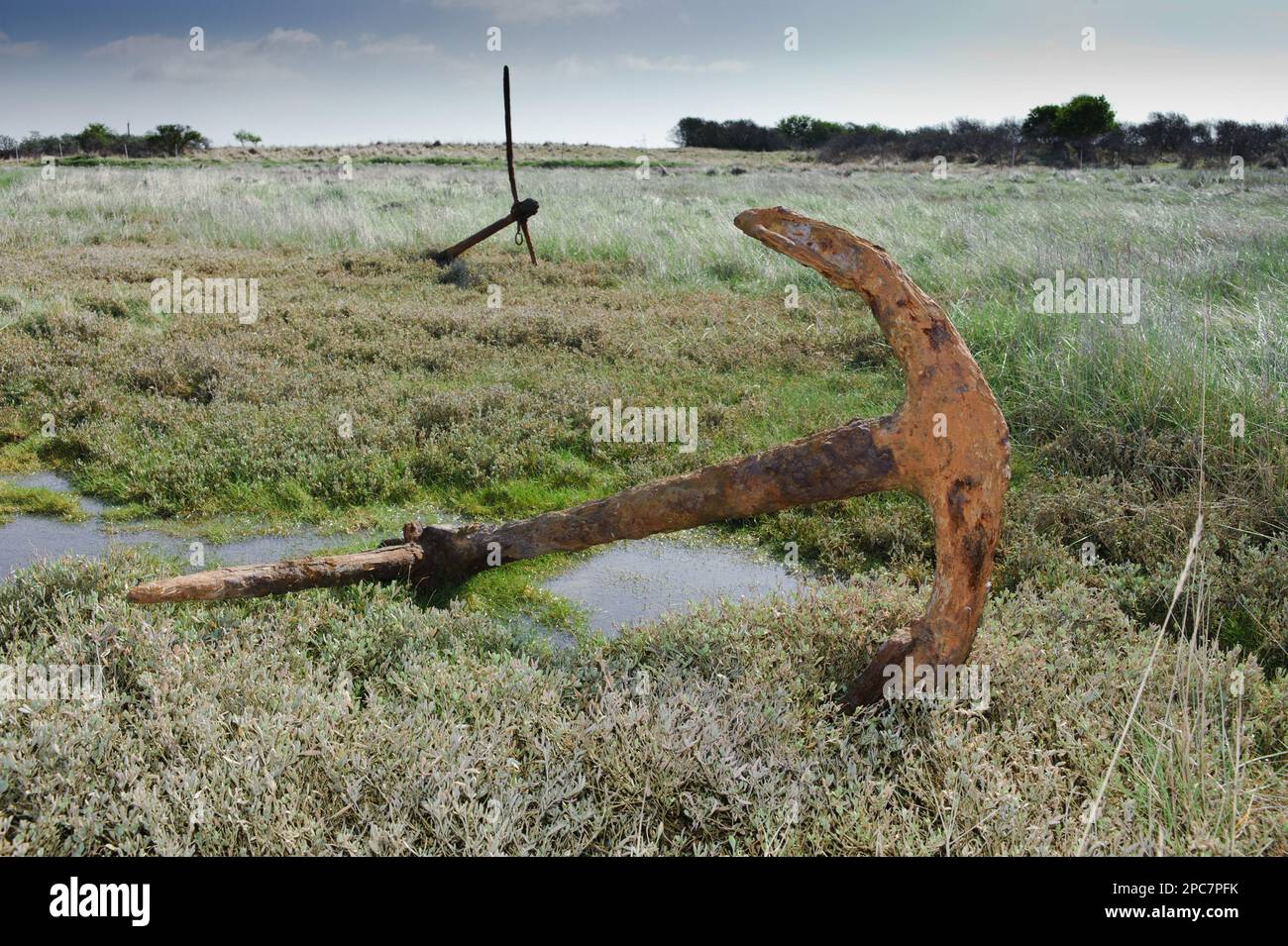 Rusty old anchors in saltmarsh habitat, Gibraltar Point, Skegness, Lincolnshire, England, United Kingdom Stock Photo