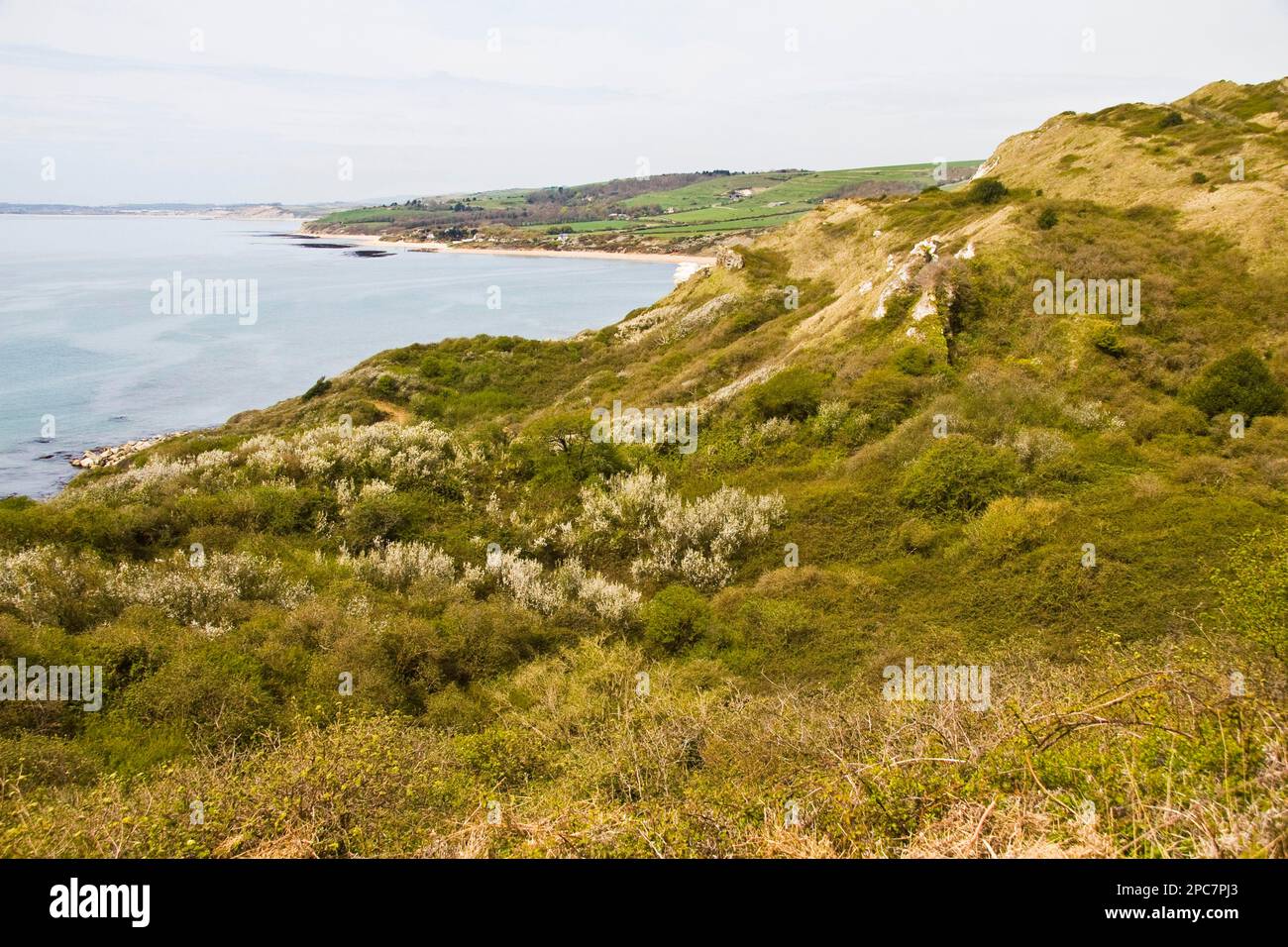View of coastline, showing coastal scrub habitat, bay, beach, farmland and distant village, Dorset, England, United Kingdom Stock Photo