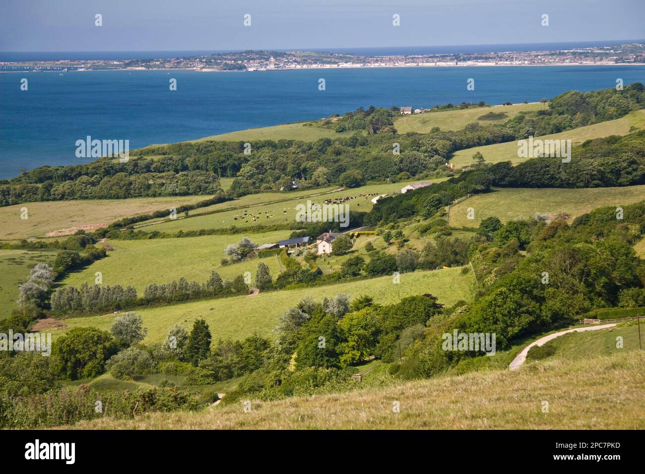 View of farmland on the coast, with farm buildings, pasture and trees, Weymouth in the distance, Dorset, England, springtime Stock Photo