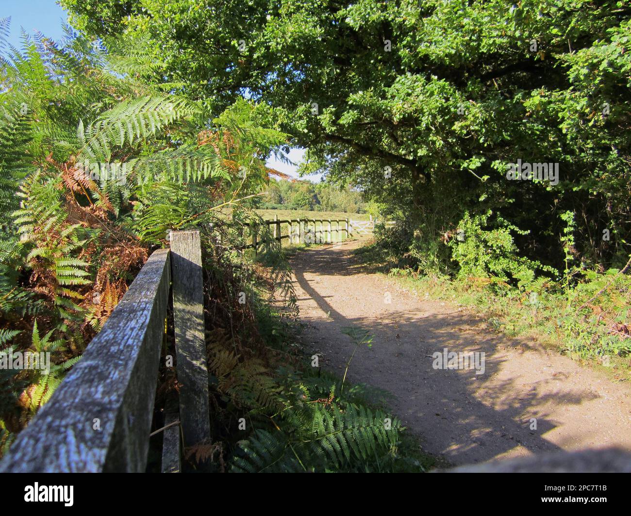 Fence and path at edge of heathland and woodland habitat, Poor's Field, Ruislip Woods N. N. R. London Borough of Hillingdon, Greater London, England Stock Photo