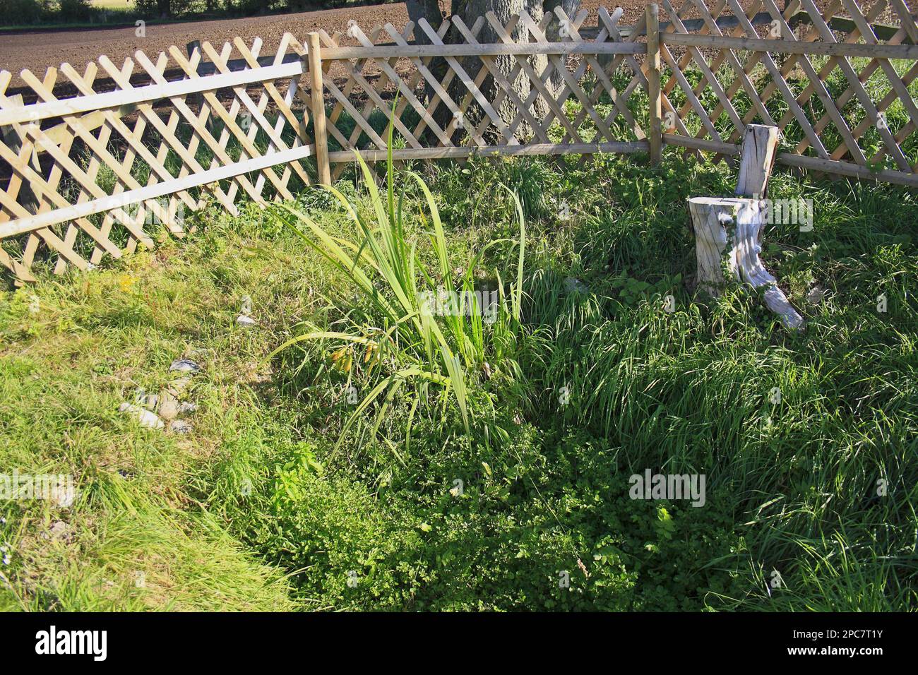 'Holy well' or 'sacred spring', St. Mary's Well, Hinderclay, Suffolk, England, United Kingdom Stock Photo