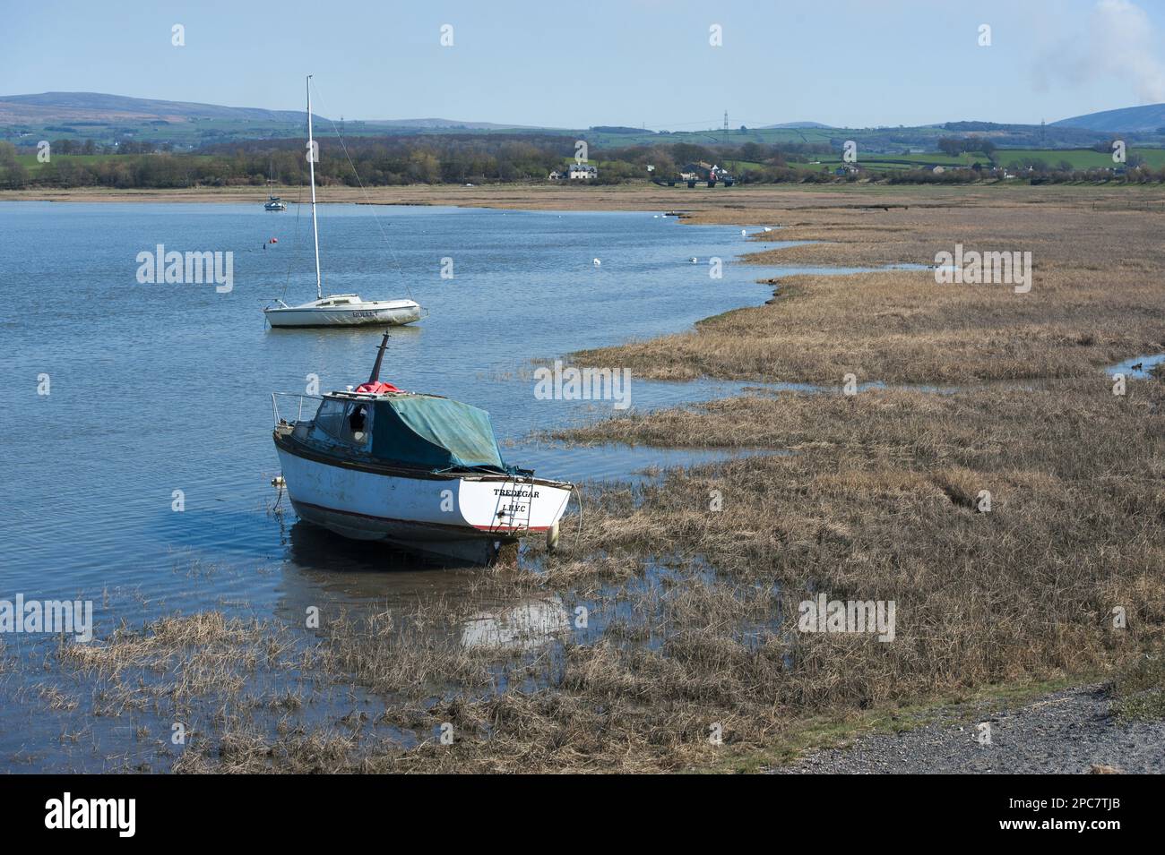 Boats on the river next to wetland habitat, Glasson Dock, River Lune, Lancaster, Lancashire, England, Marsh Stock Photo