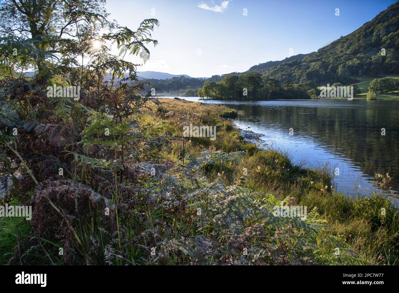 View of the lake in the evening sun, Rydal Water, Rothay Valley, Ambleside, Lake District N. P. Cumbria, England, United Kingdom Stock Photo