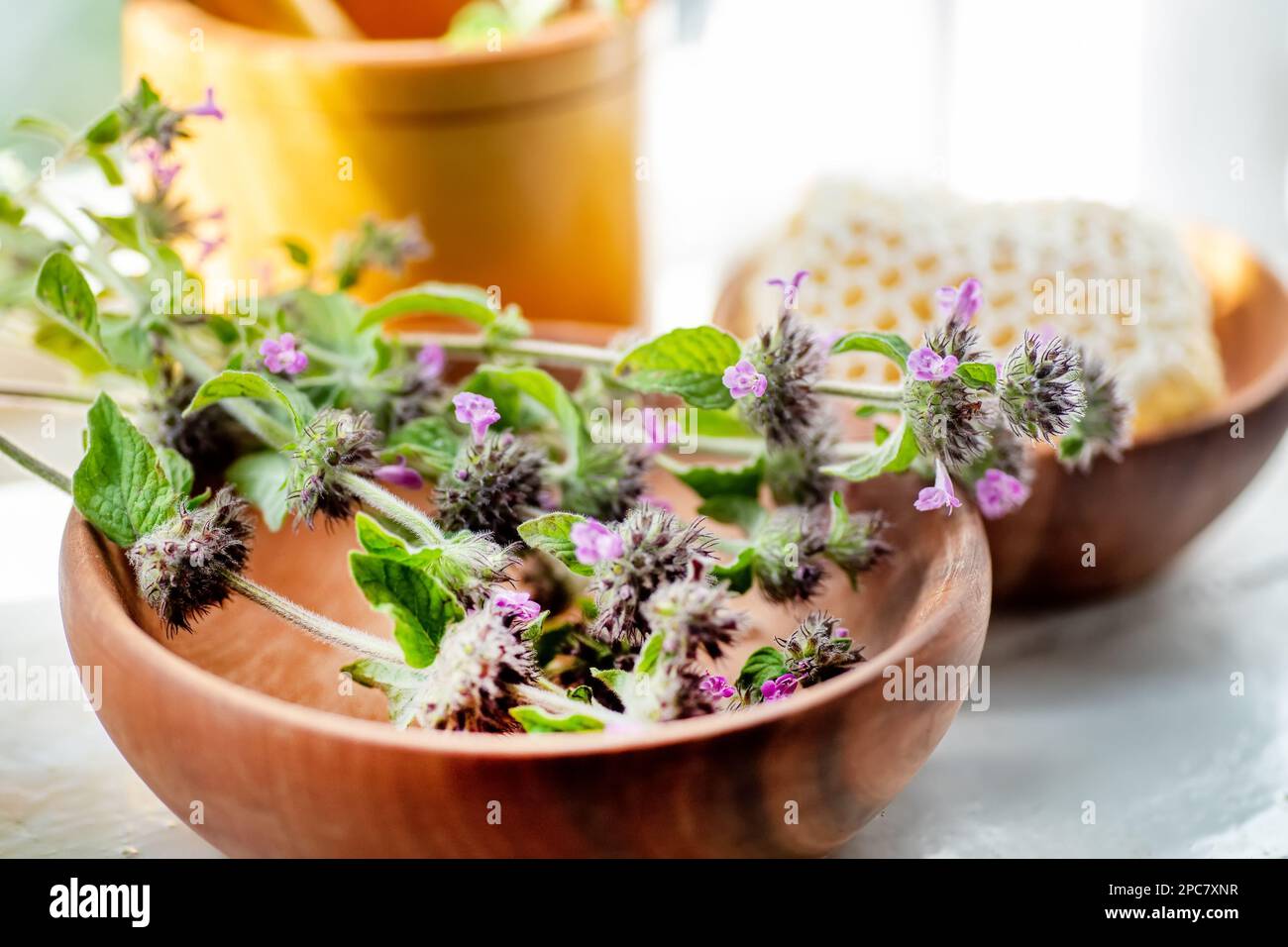 Honey plant Wild basil , Clinopodium vulgare or Satureja vulgaris next to honeycomb honey on a wooden plate near the window Stock Photo