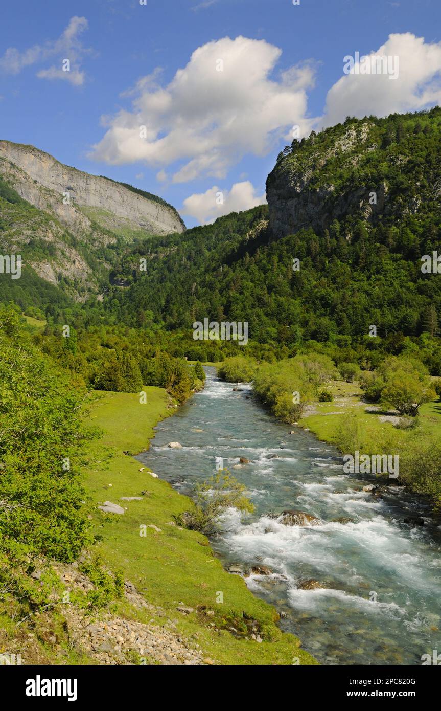 View of mountain valley river habitat, Ordesa y Monte Perdido N. P. Pyrenees, Aragon, Spain Stock Photo