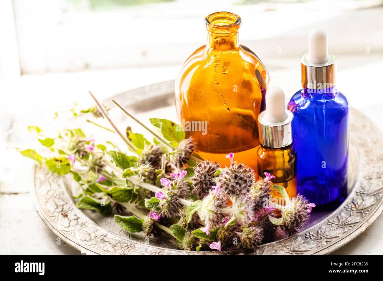 Still life with a bouquet of flowering Clinopodium vulgare, wild basil on an old vintage windowsill with wooden frames Stock Photo