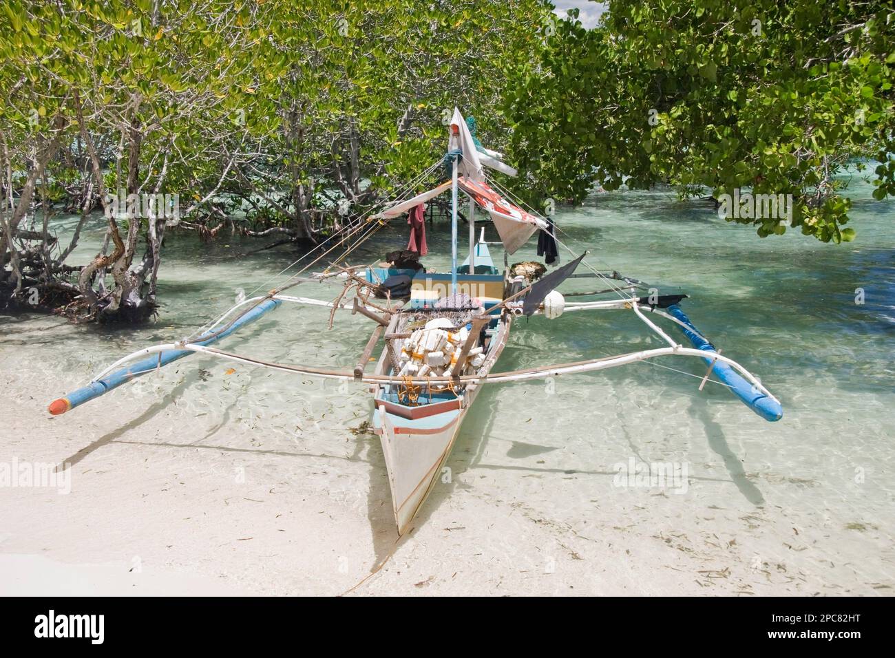 Outrigger fishing boats, new fishing community in coastal mangrove area