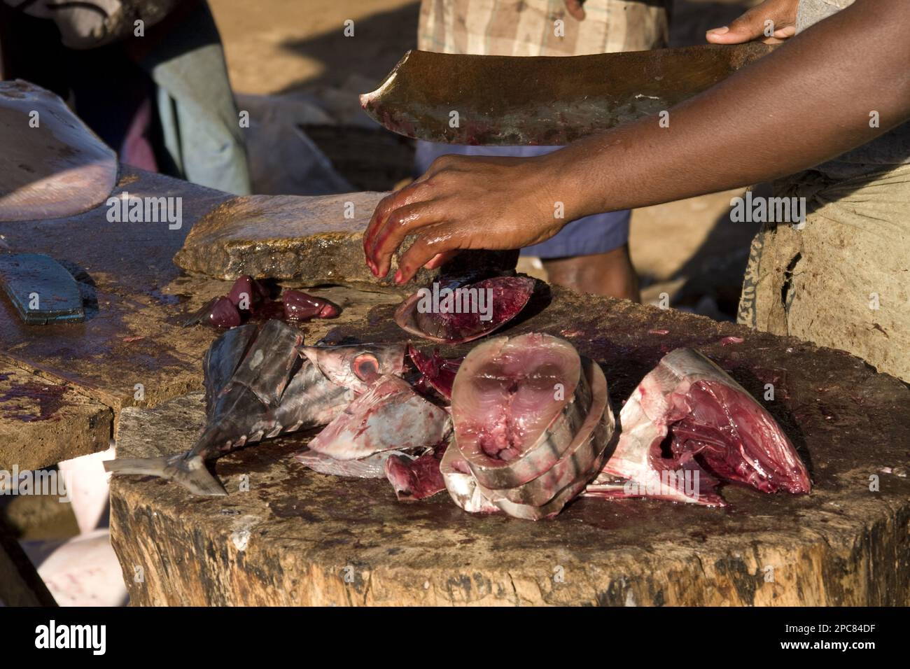 Cutting up fish at the open market in Negombo, Sri Lanka Stock Photo