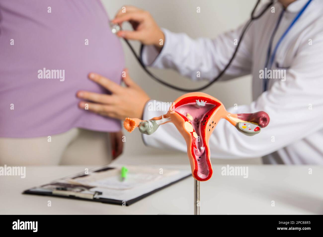 Doctor gynecologist listens to the belly of a pregnant girl through a