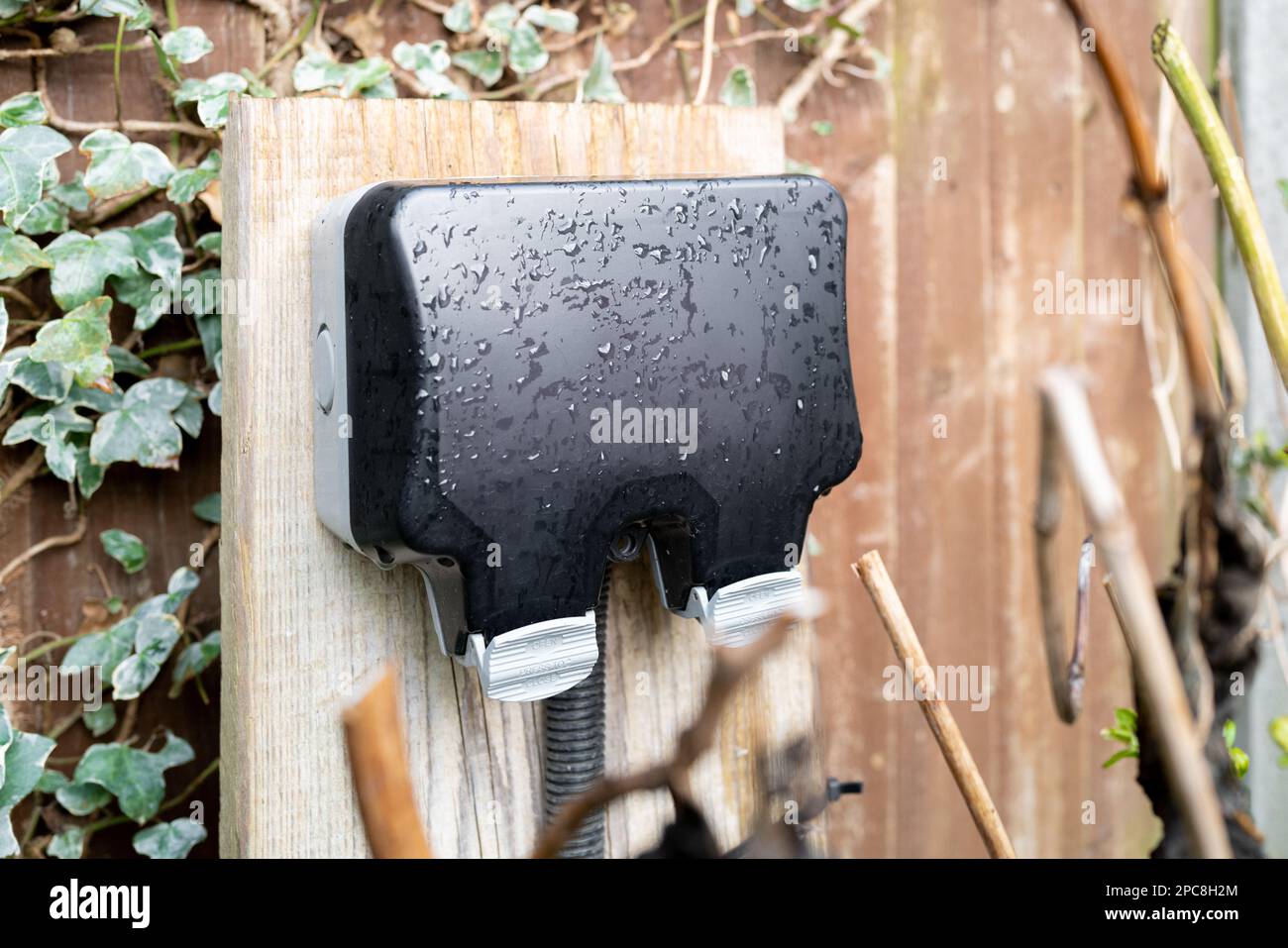 Shallow focus of a newly installed, weather proof double electrical socket seen in a garden. Stock Photo