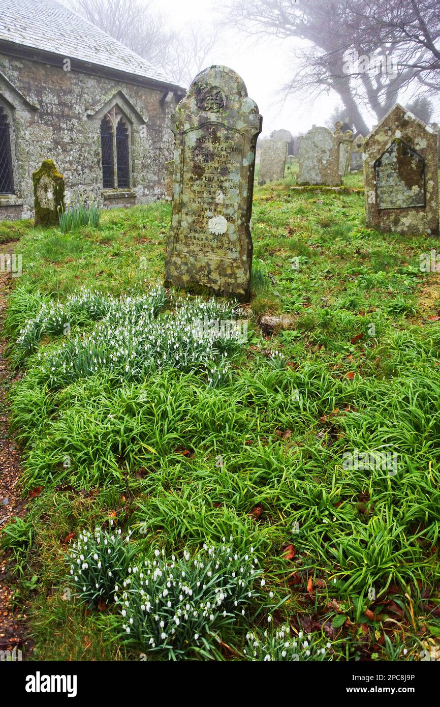 The graveyard at St. Dennis parish church, Cornwall, UK John Gollop