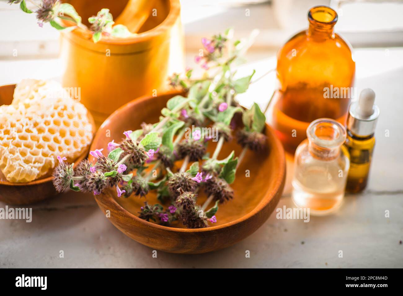 Apothecary bottles near raw materials from fresh flowering Clinopodium vulgare, Wild basil, rhizomatous perennial herb collected in ecologically clean Stock Photo