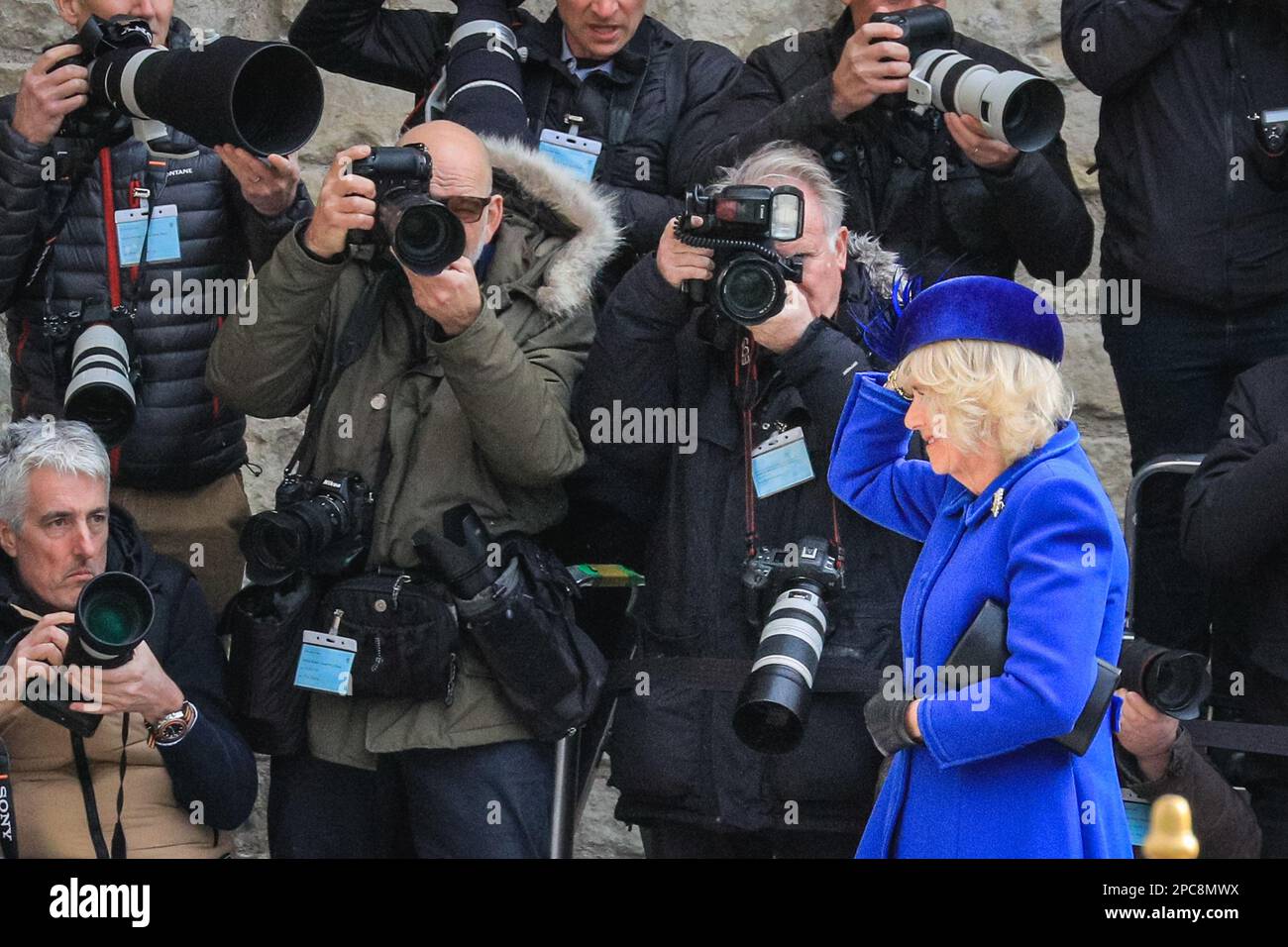 London, UK. 13th Mar, 2023. Camilla holds on to her hat in the windy weather. King Charles and Camilla, the Queen Consort. Politicians, Royals and guests arrive and depart form today's Commonwealth Service held at Westminster Abbey in central London Credit: Imageplotter/Alamy Live News Stock Photo