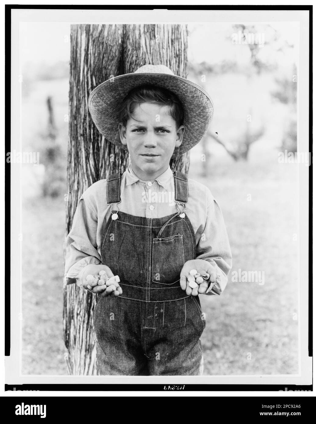 Carroll County Kentucky History and Biographies - Mountain Press and  Southern Genealogy Books, image size:1037x1390