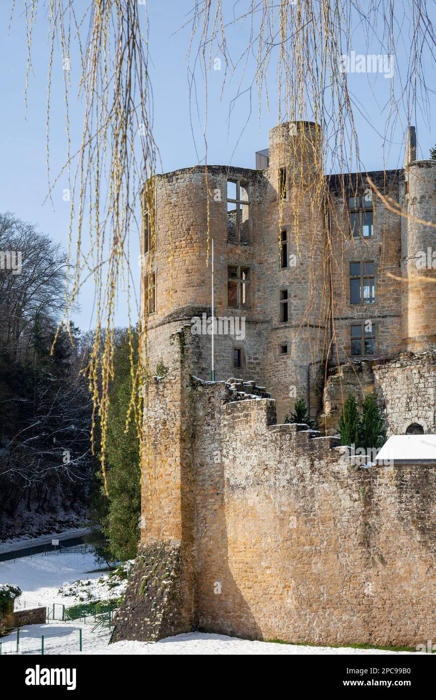 Europe, Luxembourg, Grevenmacher, Beaufort Castle in the Wintertime through Willow Branches Stock Photo