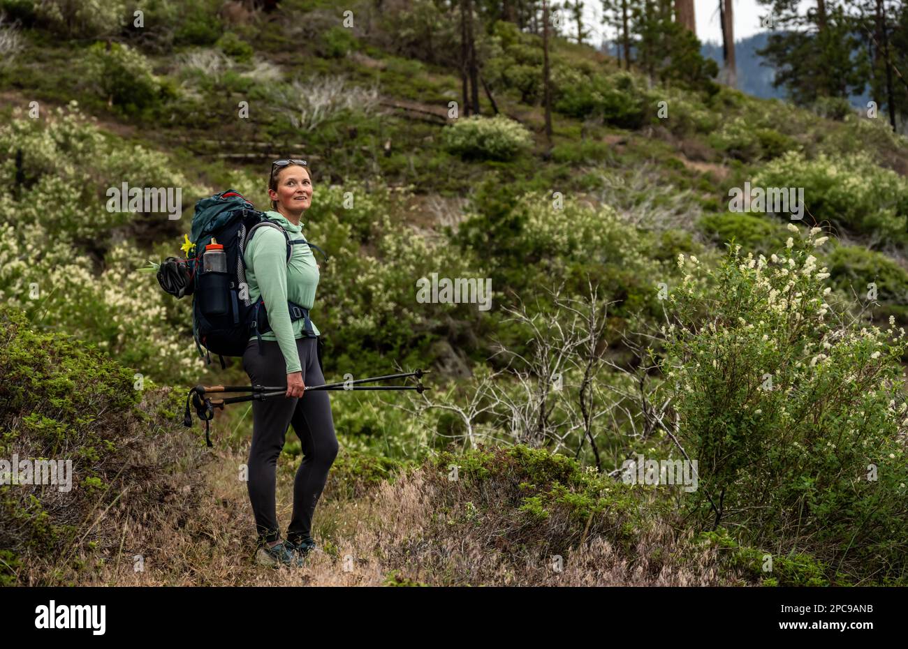 Woman Looks at the View with an Expression of Awe While Hiking the Lewis Creek Trail in Kings Canyon Stock Photo