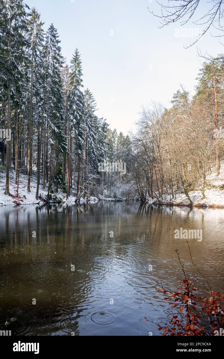 Europe, Luxembourg, Grevenmacher, A man-made Lake historically supplying Beaufort Castle with Water, in the Wintertime Stock Photo