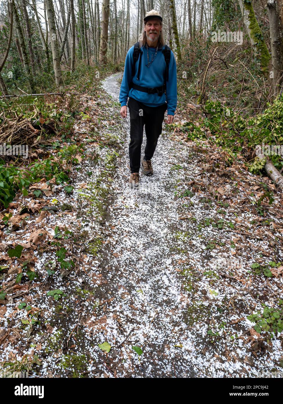 WA23252-00...WASHINGTON - Hiker  on a hail covered trail during a winter hike at the Mukilteo Trails and Tails Dog Park. Stock Photo